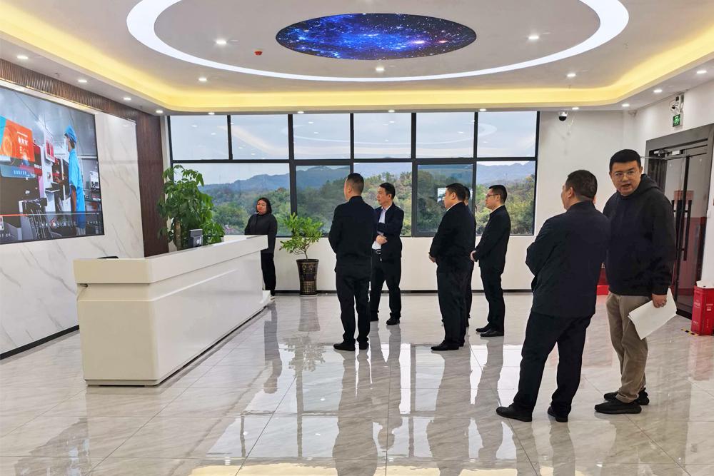 省工信厅刘卫东一行赴湖南绘晶科技调研 聚焦显示产业发展质效